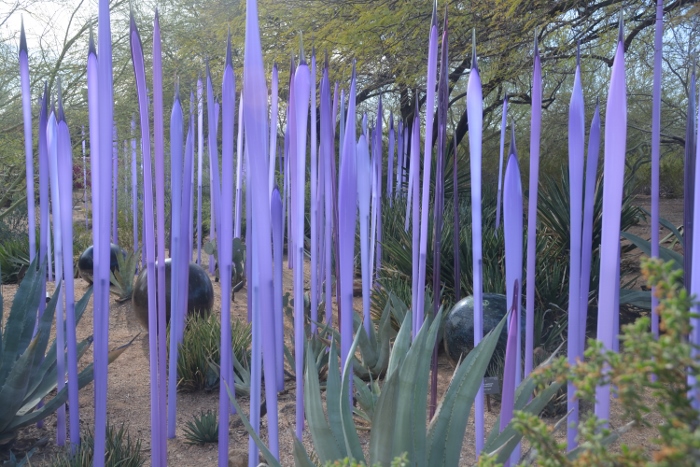 Neodymium Reeds by Chihuly